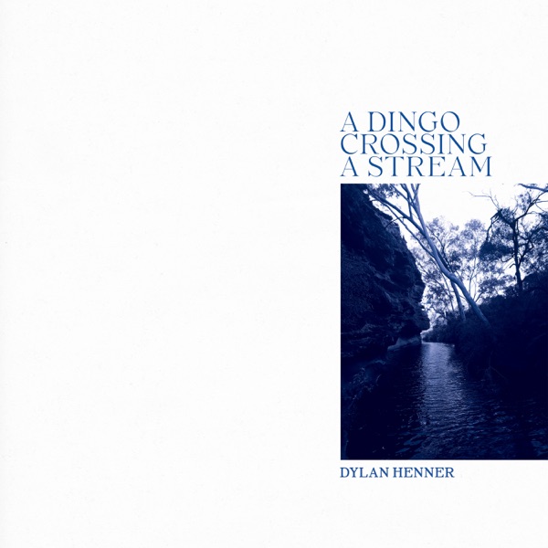 A Dingo Crossing a Stream album cover