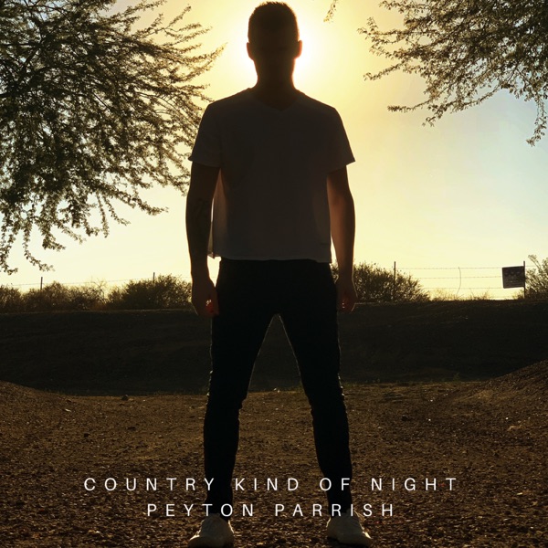 Country Kind of Night - Single album cover
