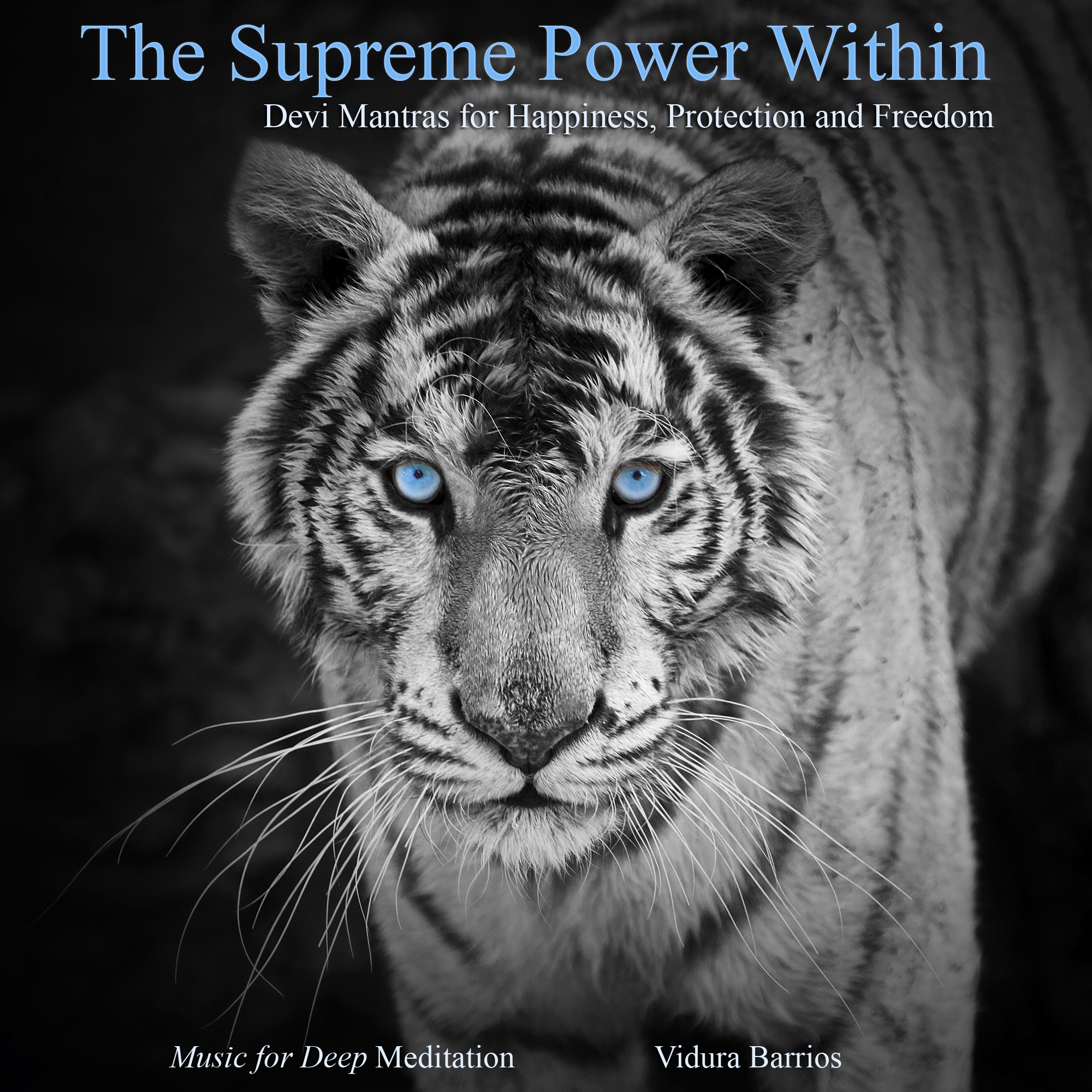 The Supreme Power Within - Devi Mantras for Happiness, Protection and Freedom album cover