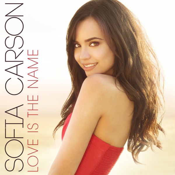 Love Is the Name - Single album cover
