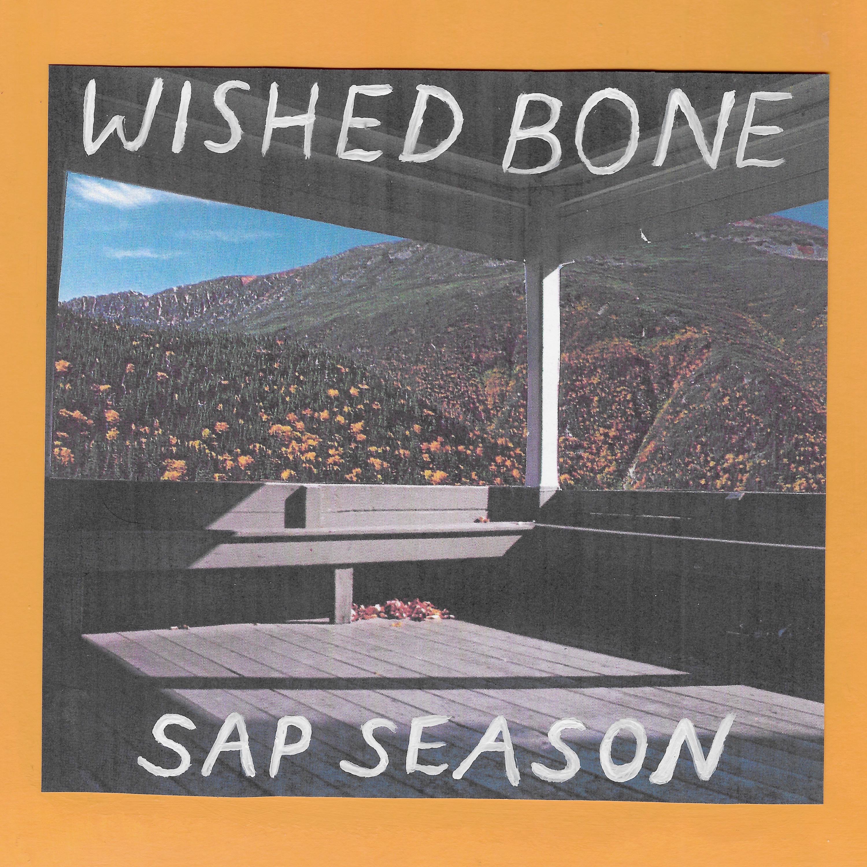 Sap Season album cover