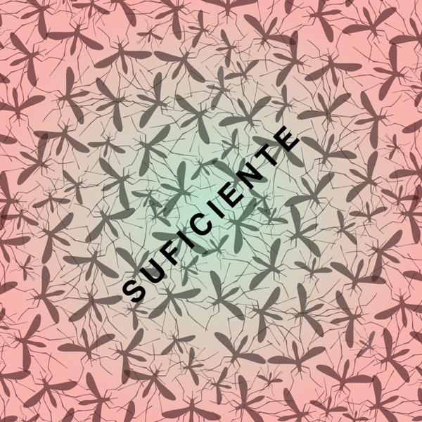 Suficiente - Single album cover