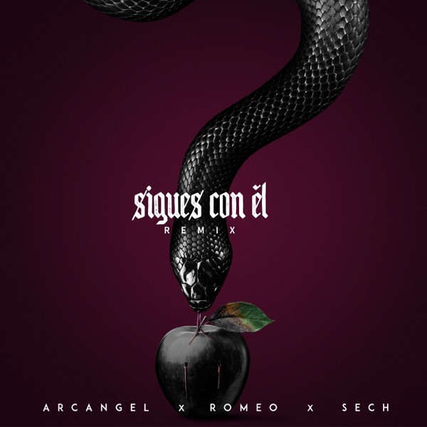 Sigues Con Él (Remix) - Single album cover