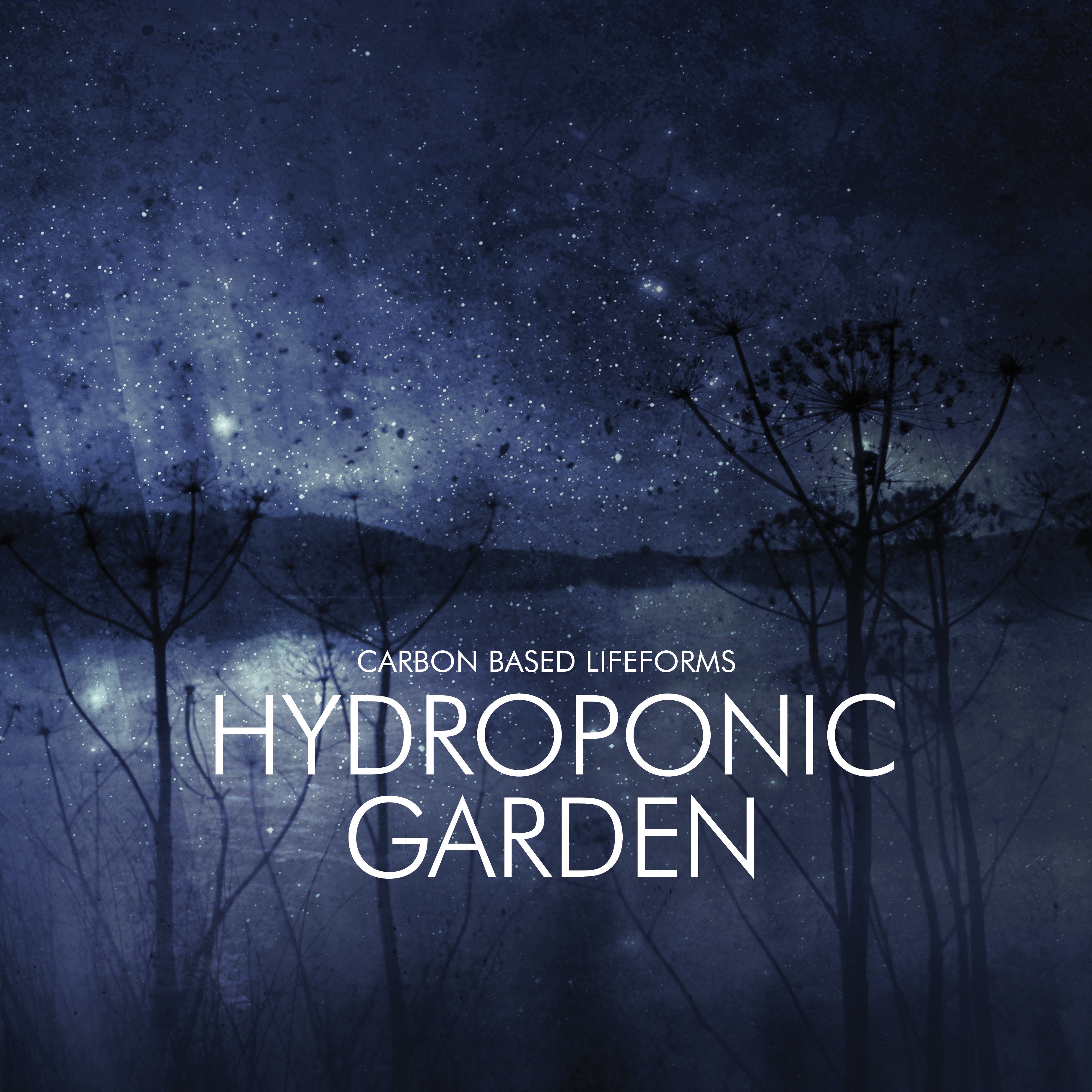 Hydroponic Garden album cover
