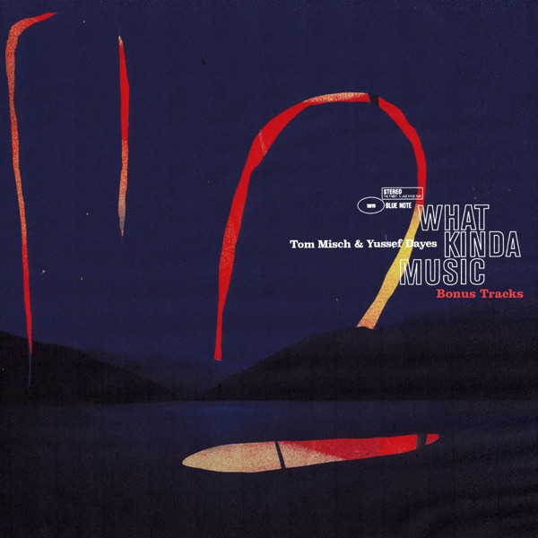 What Kinda Music (Bonus Tracks) - EP album cover