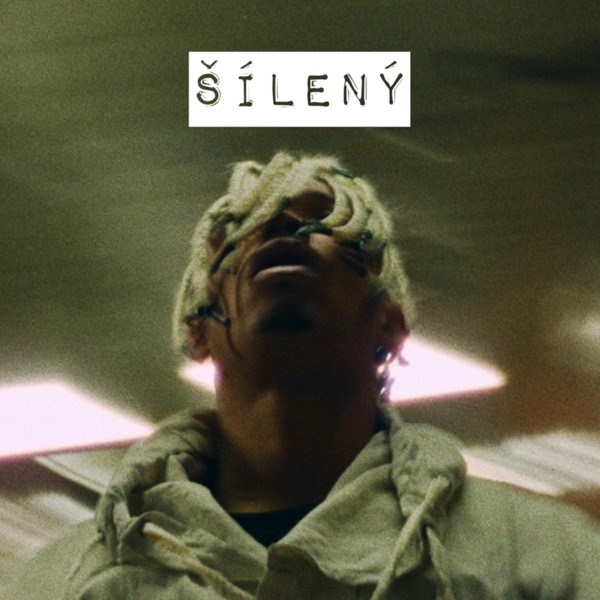 Šílený - Single album cover