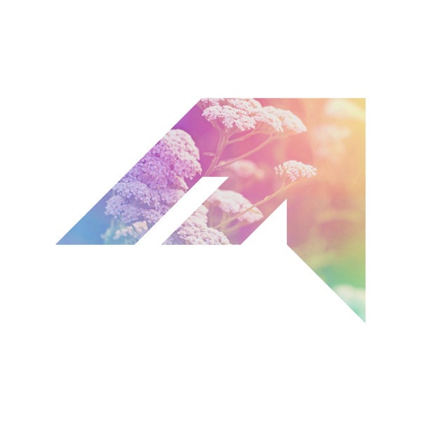 Magic Times album cover