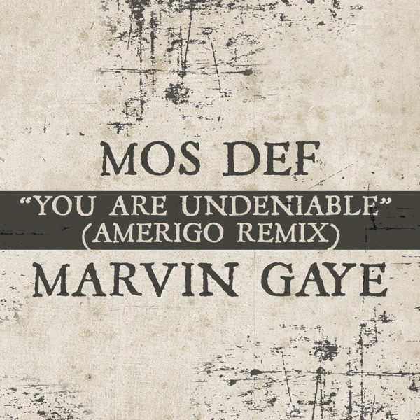 You Are Undeniable (Amerigo Remix) - Single album cover
