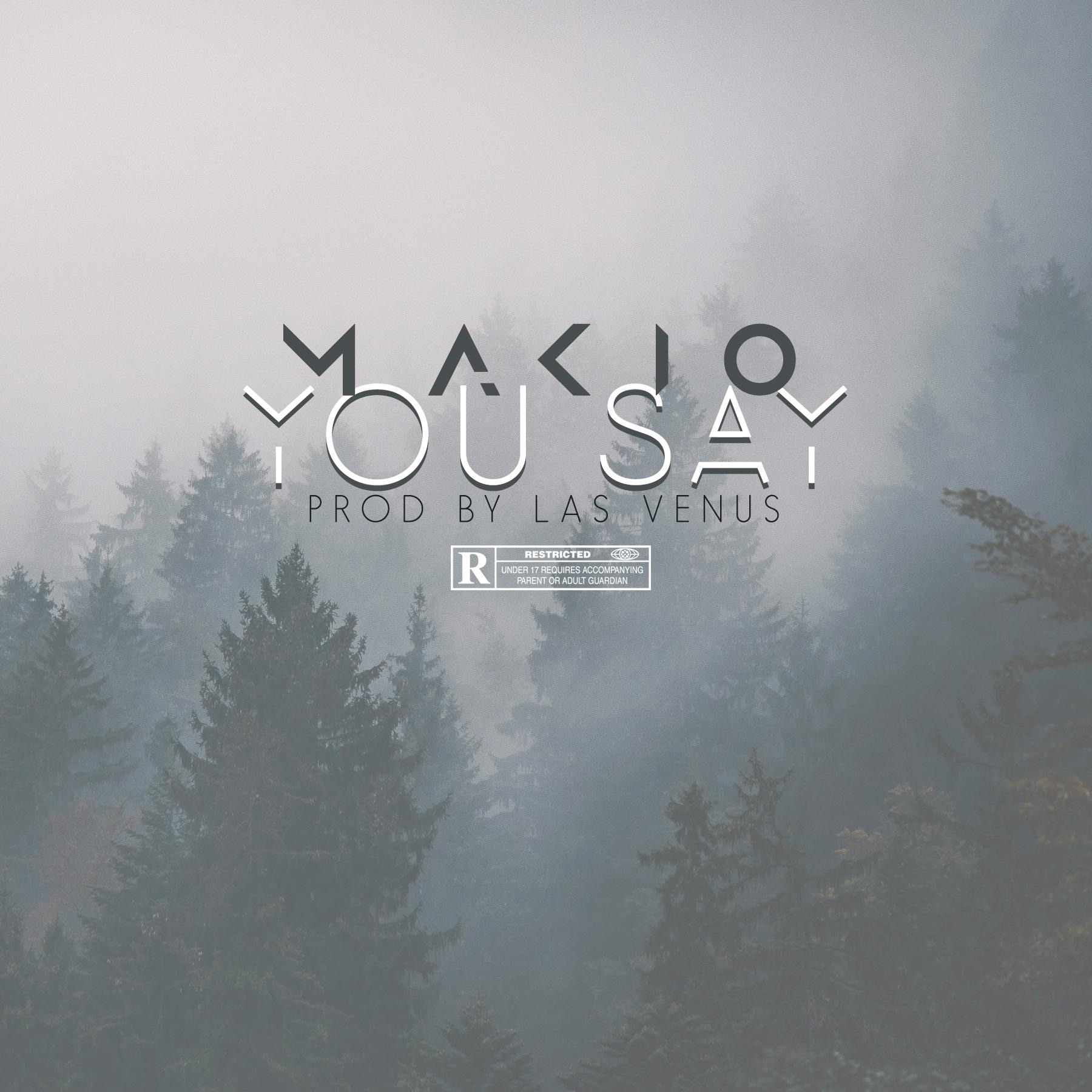 You Say - Single album cover