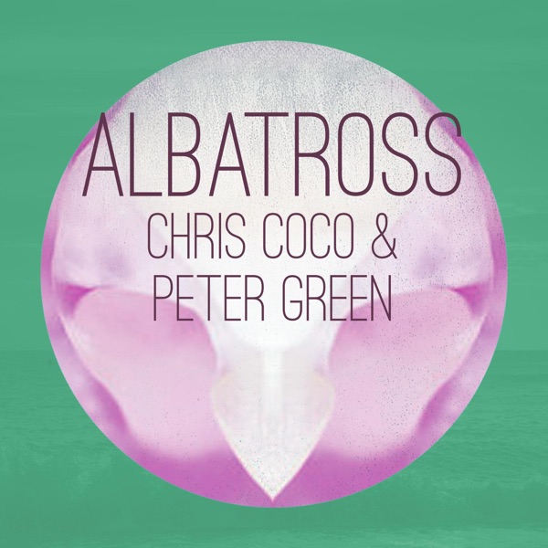 Albatross (The Orb Remix) album cover
