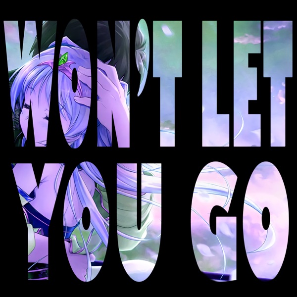 Won't Let You Go - Single (feat. Chi Chi) - Single album cover
