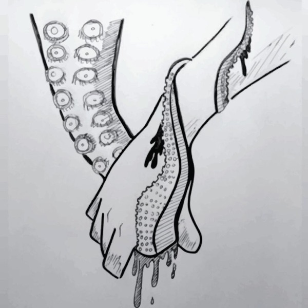 You'll Say Sorry Through Your Smile - Single album cover