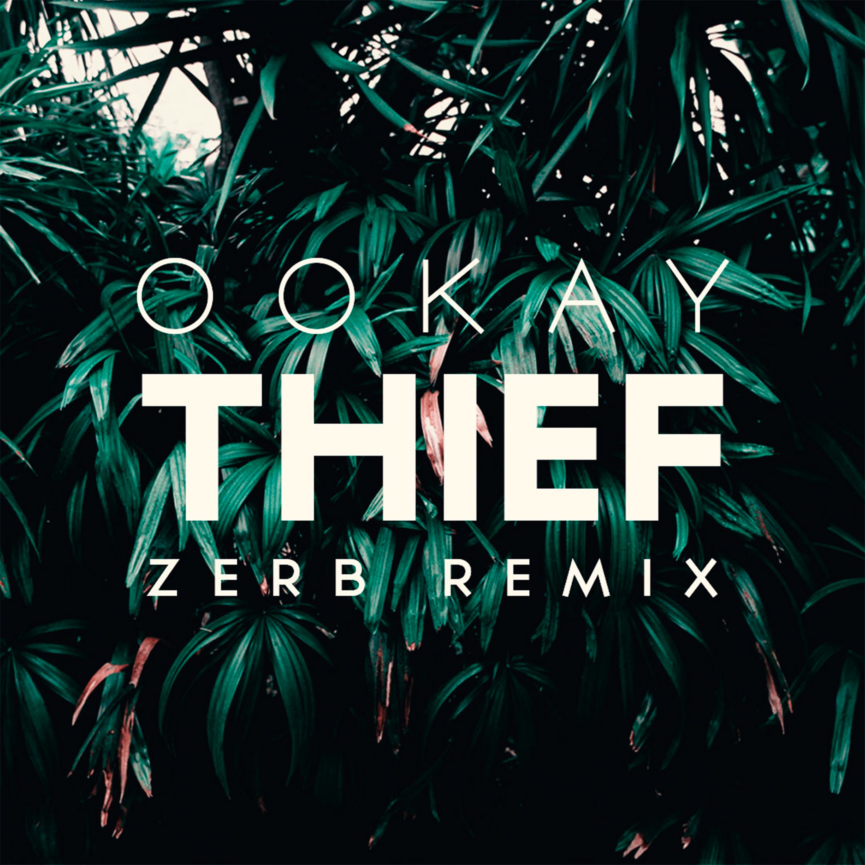 Thief (Zerb Remix) - Single album cover
