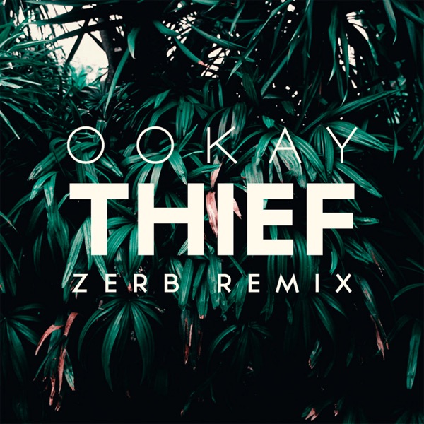 Thief (Zerb Remix) - Single album cover