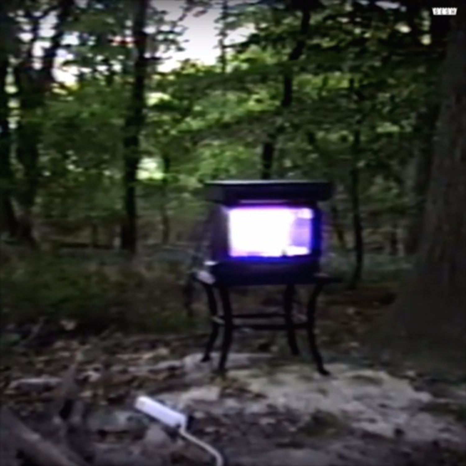 Disgrace album cover