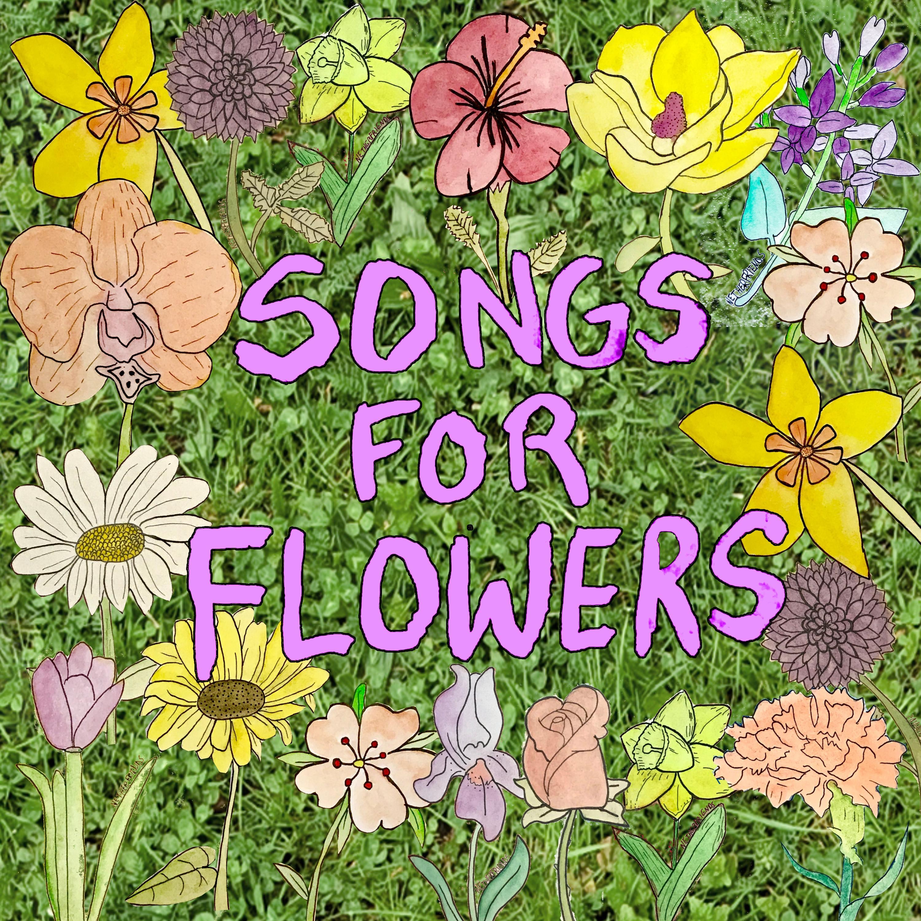 Songs for Flowers album cover