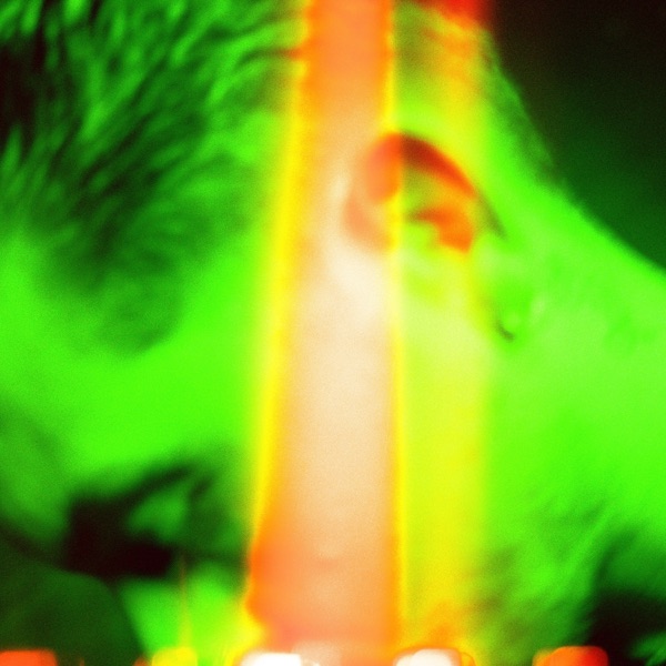 Nostalgia Cycle - Single album cover