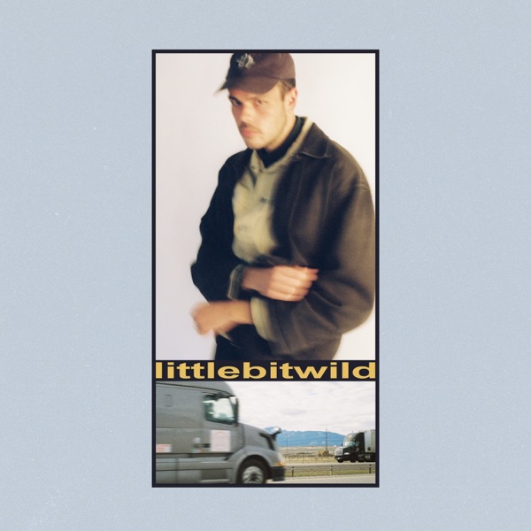 littlebitwild (feat. Mallrat) - Single album cover