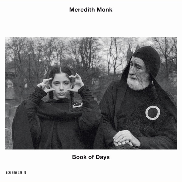 Book of Days album cover