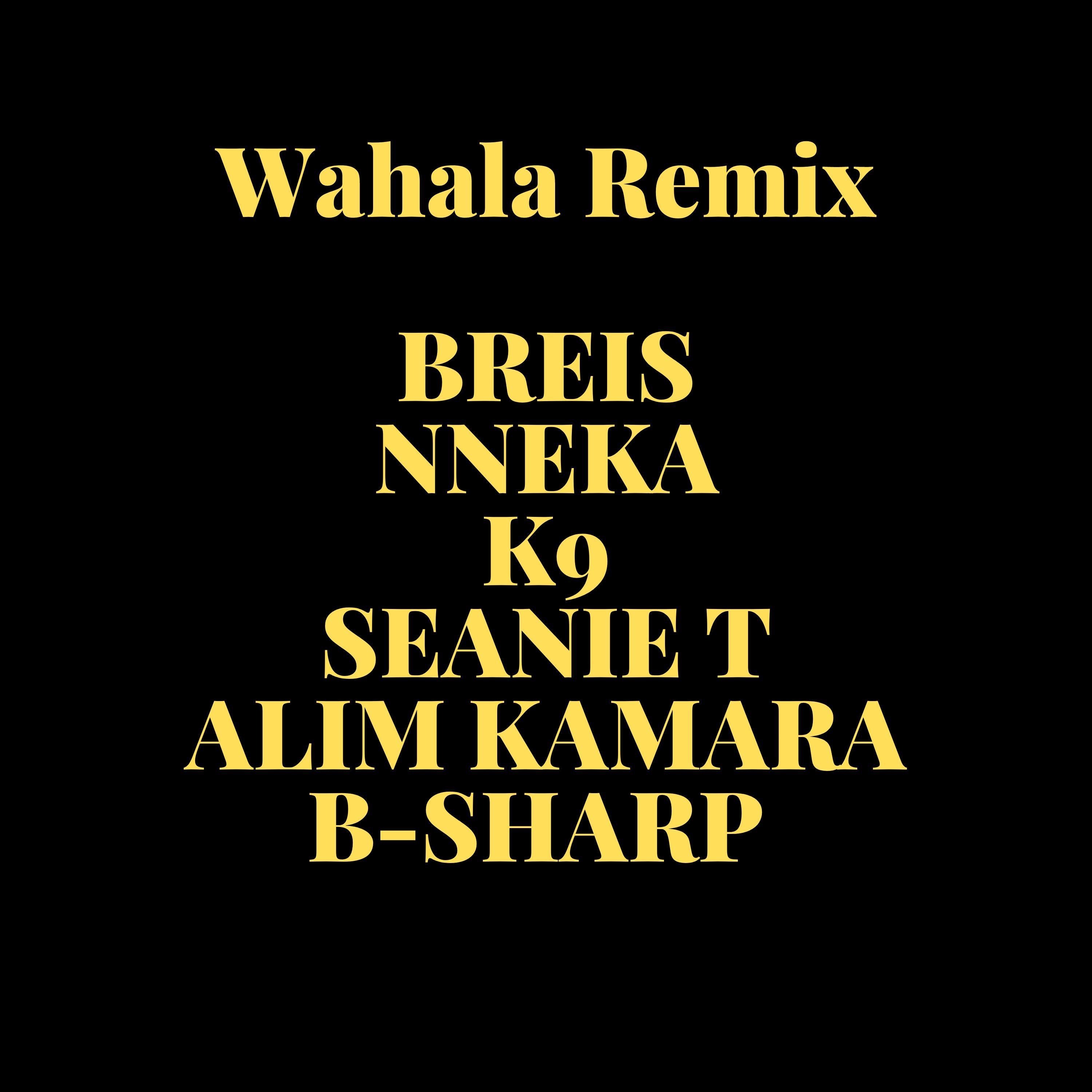 Wahala (feat. Nneka, K9, Seanie T, B-Sharp & Alim Kamara) [Remix] - Single album cover