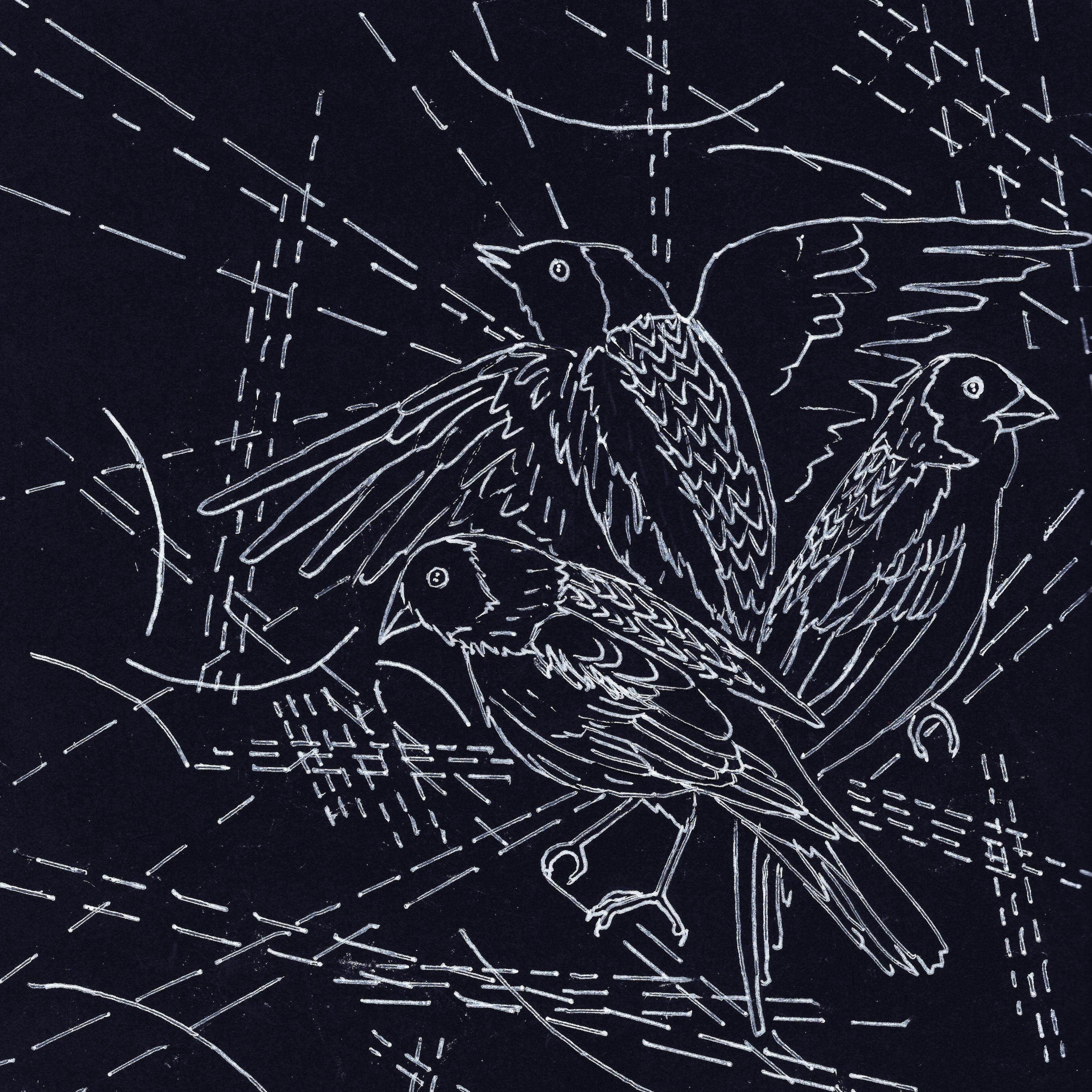 Bobolinks - Single album cover