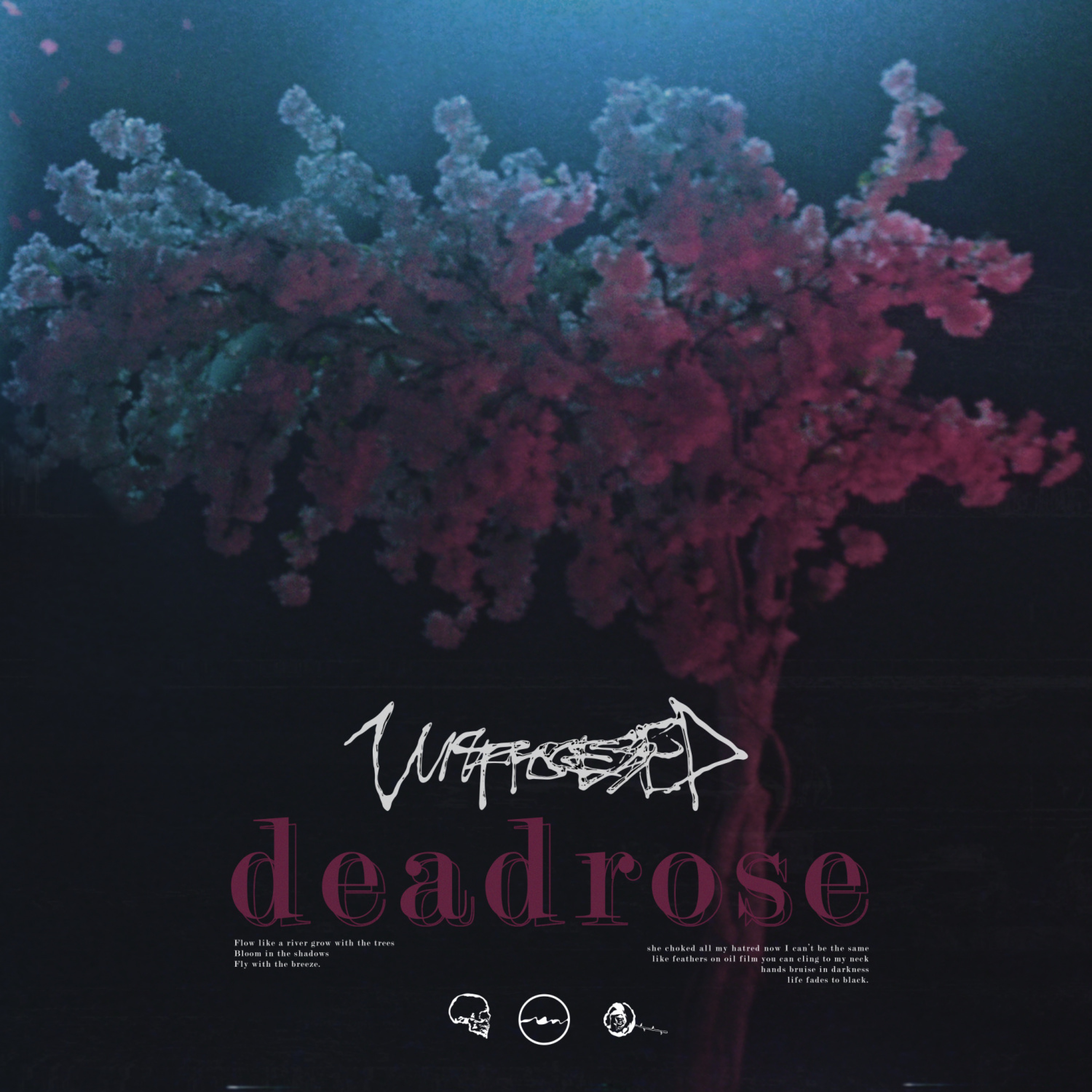 Deadrose - Single album cover