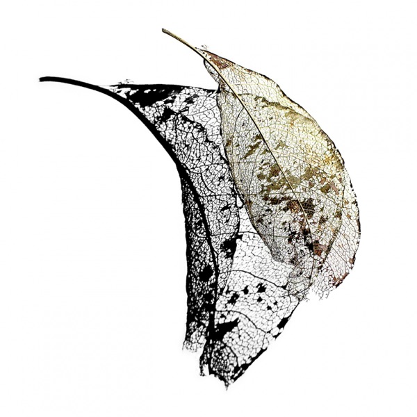 Reflect - Single album cover