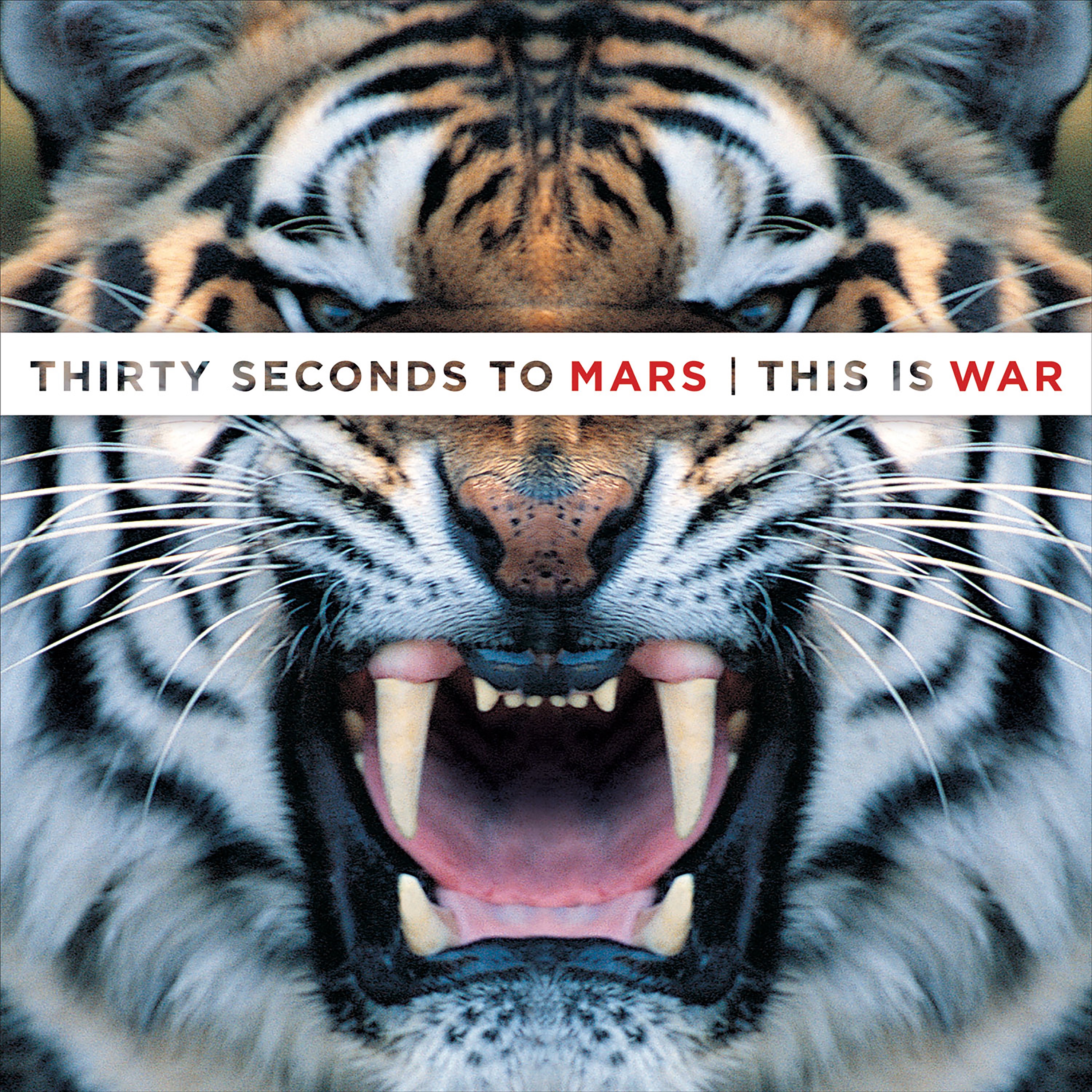 This Is War album cover