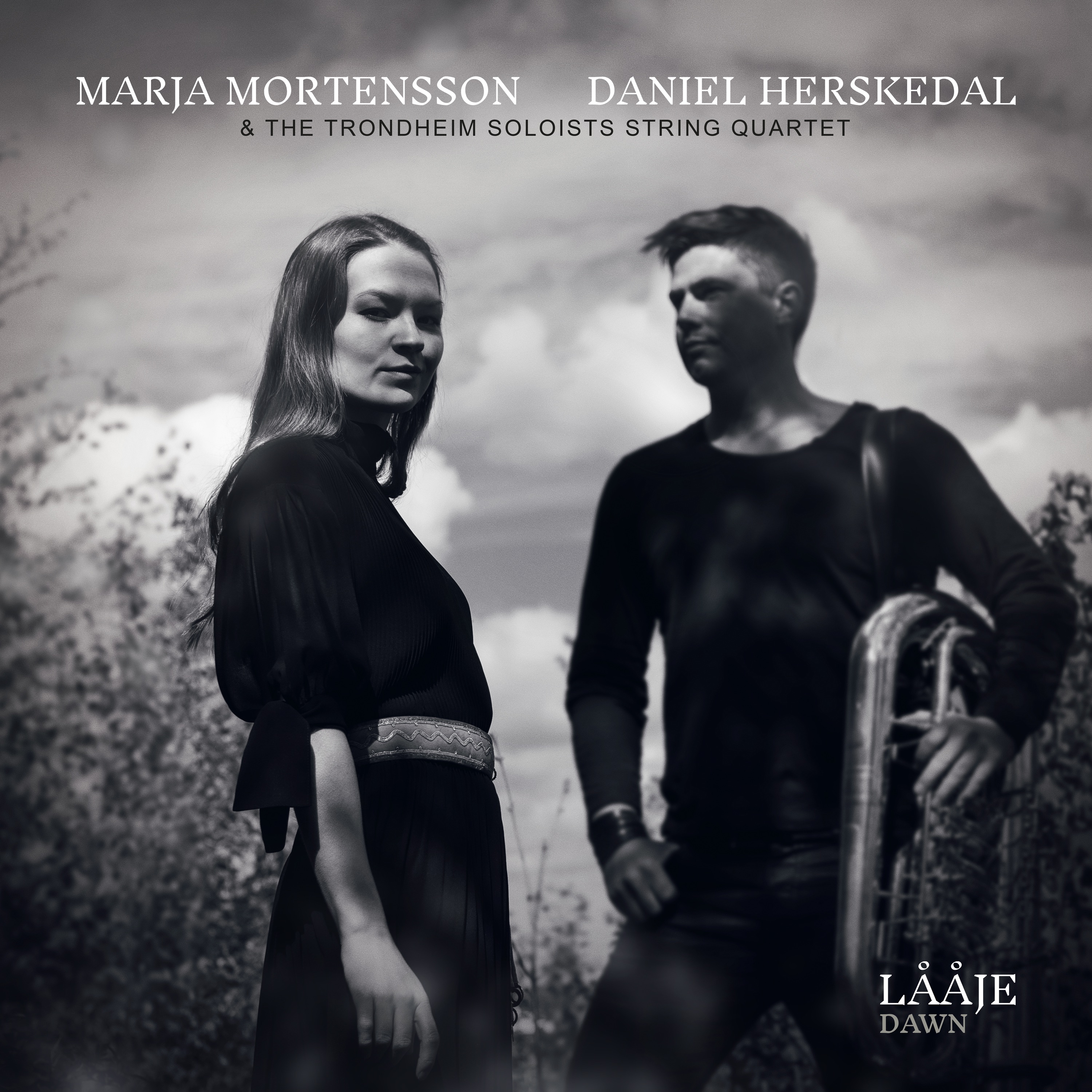 Lååje album cover