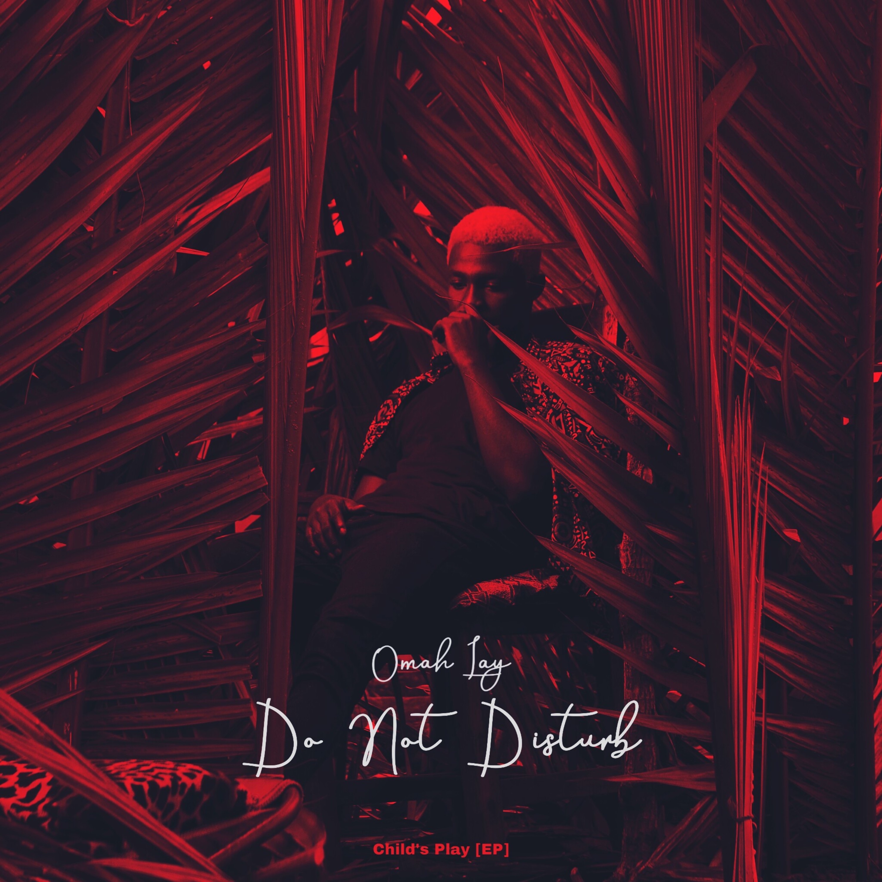 Do Not Disturb - Single album cover
