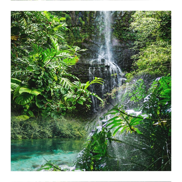 The Garden - Single album cover