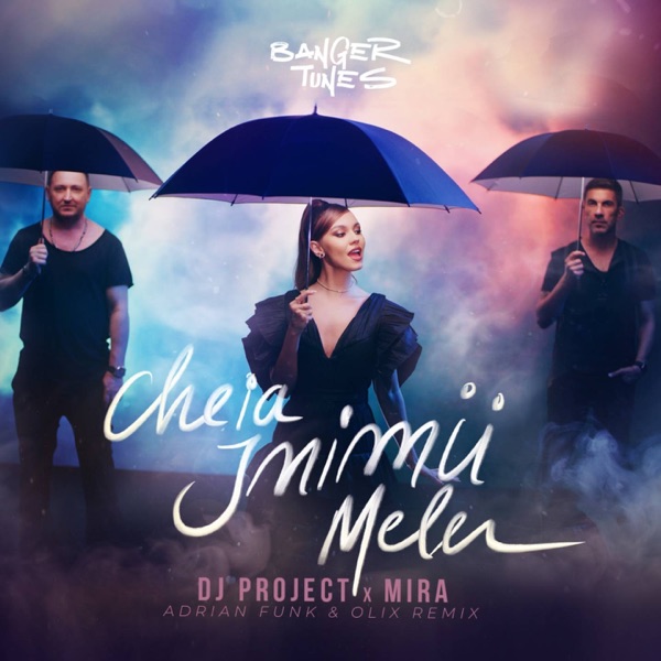 Cheia Inimii Mele (Adrian Funk & OLiX Remix) - Single album cover