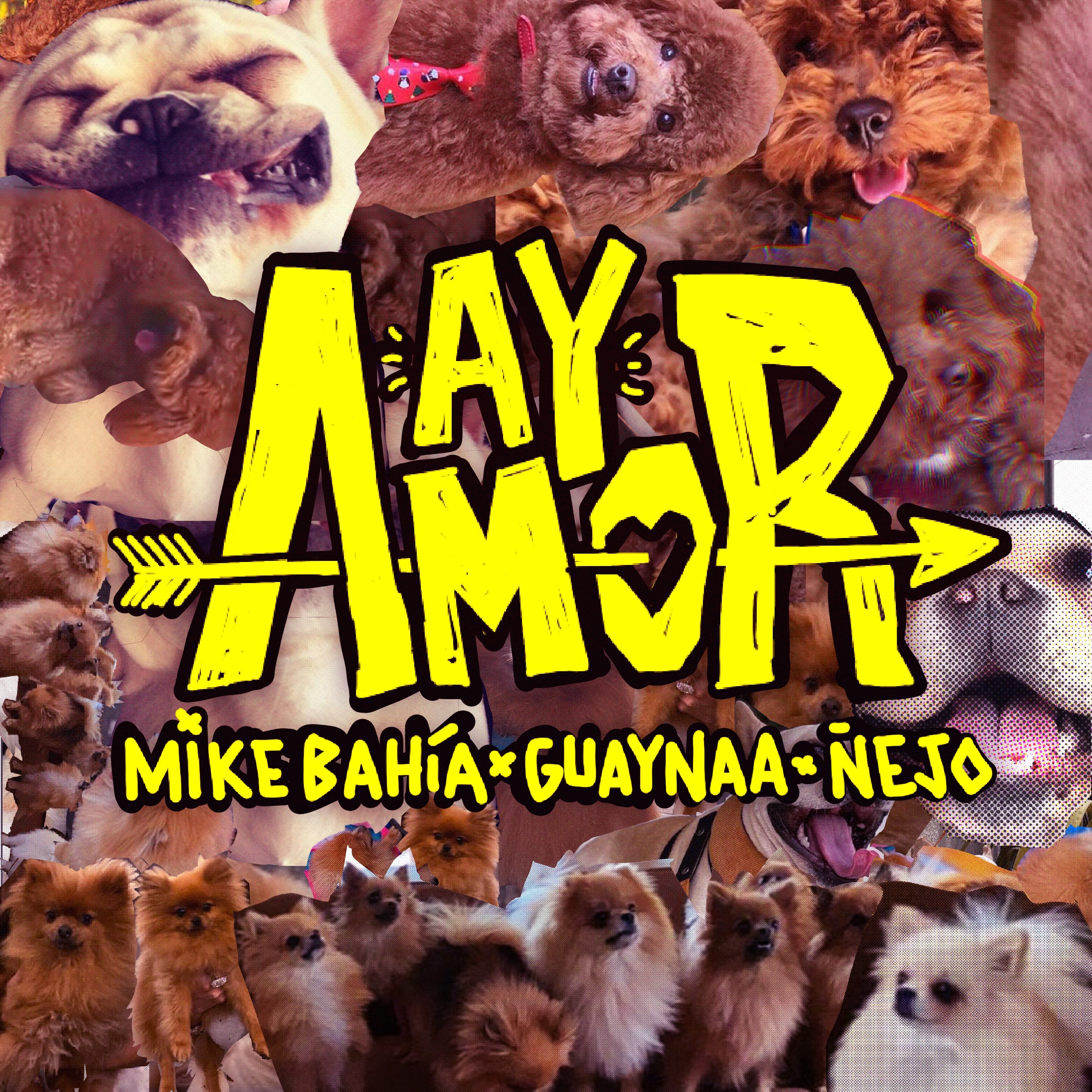 Ay Amor - Single album cover