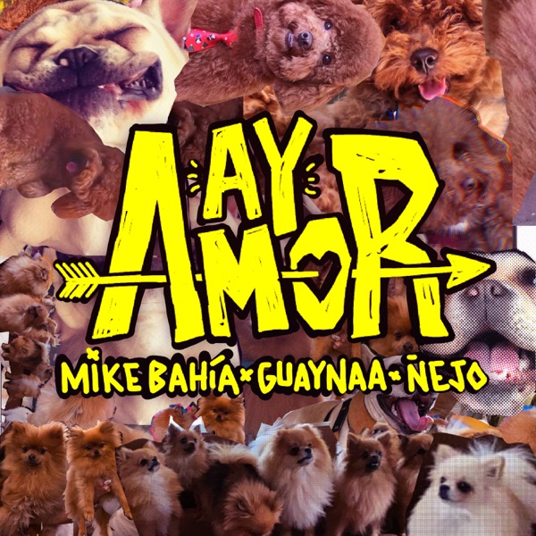 Ay Amor - Single album cover
