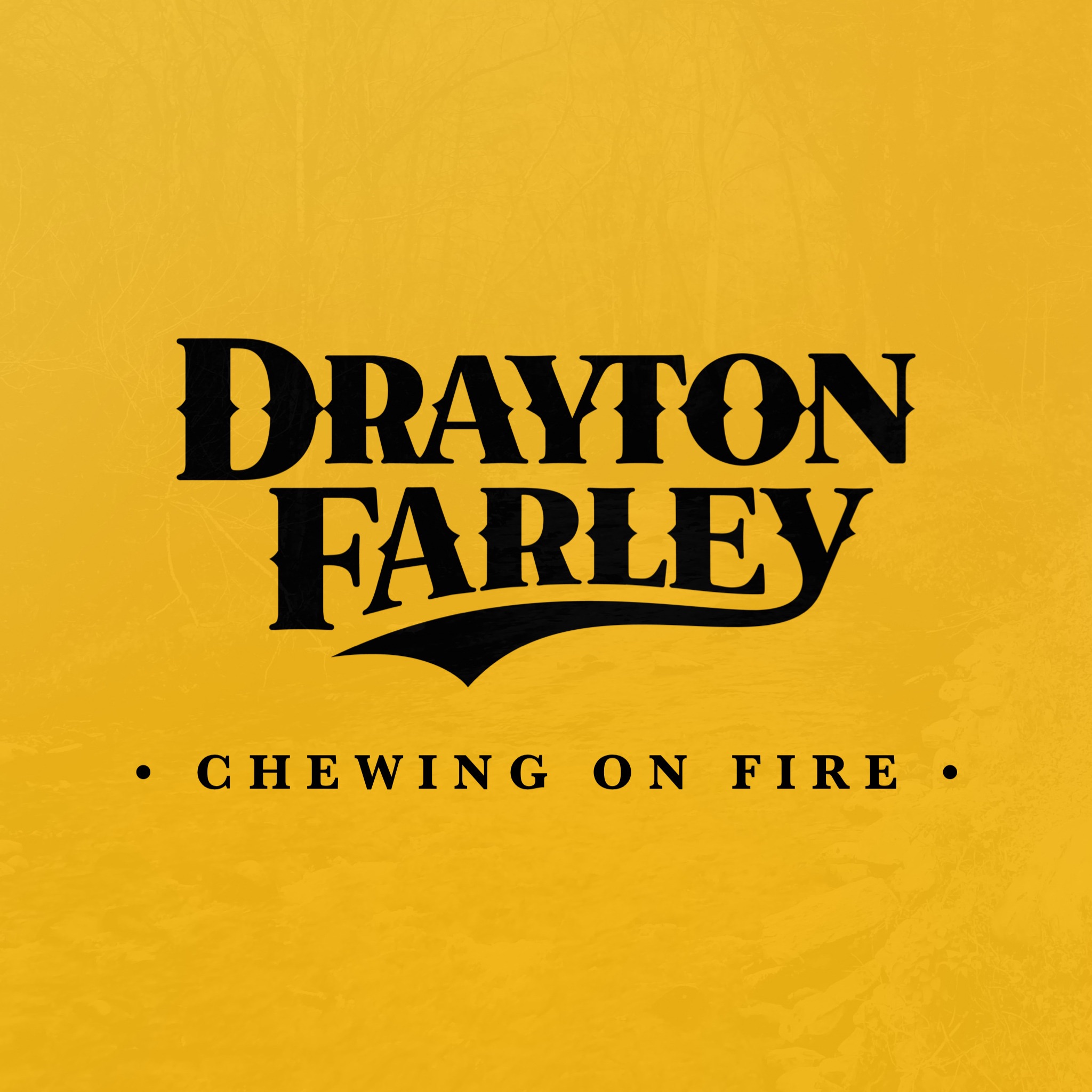 Chewing on Fire - Single album cover