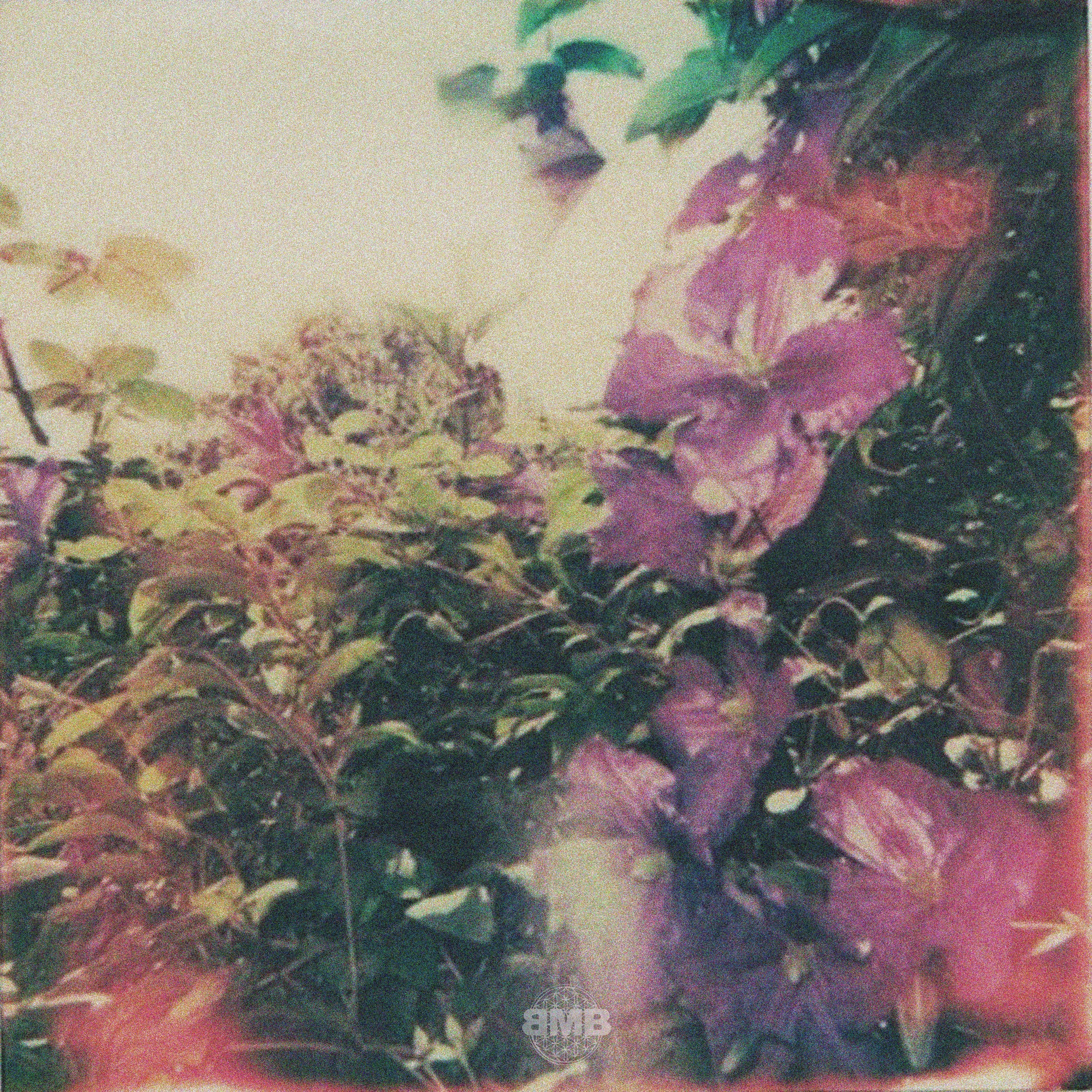 Stop and Smell the Flowers Sometime - EP album cover