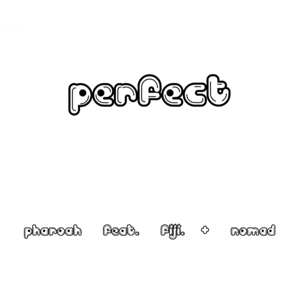 Perfect (feat. Nomad & Fiji) - Single album cover