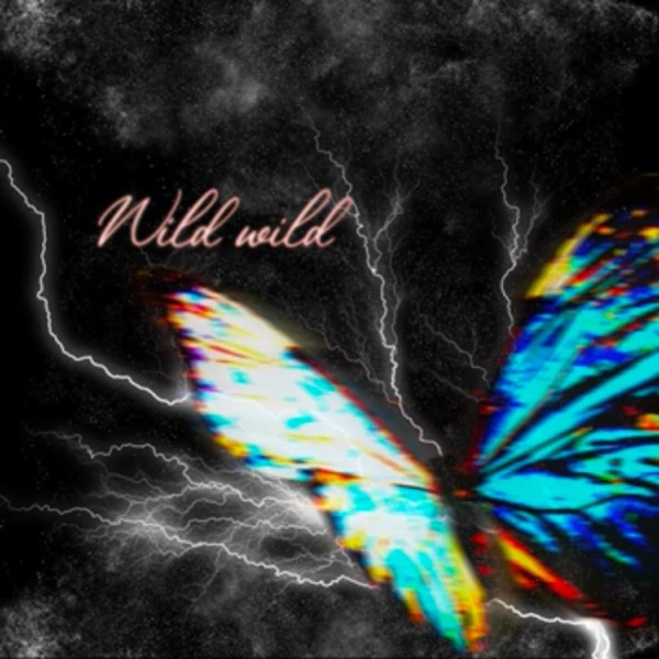 Wild Wild (feat. $ofaygo, Cayo Banks & Yung Fazo) - Single album cover