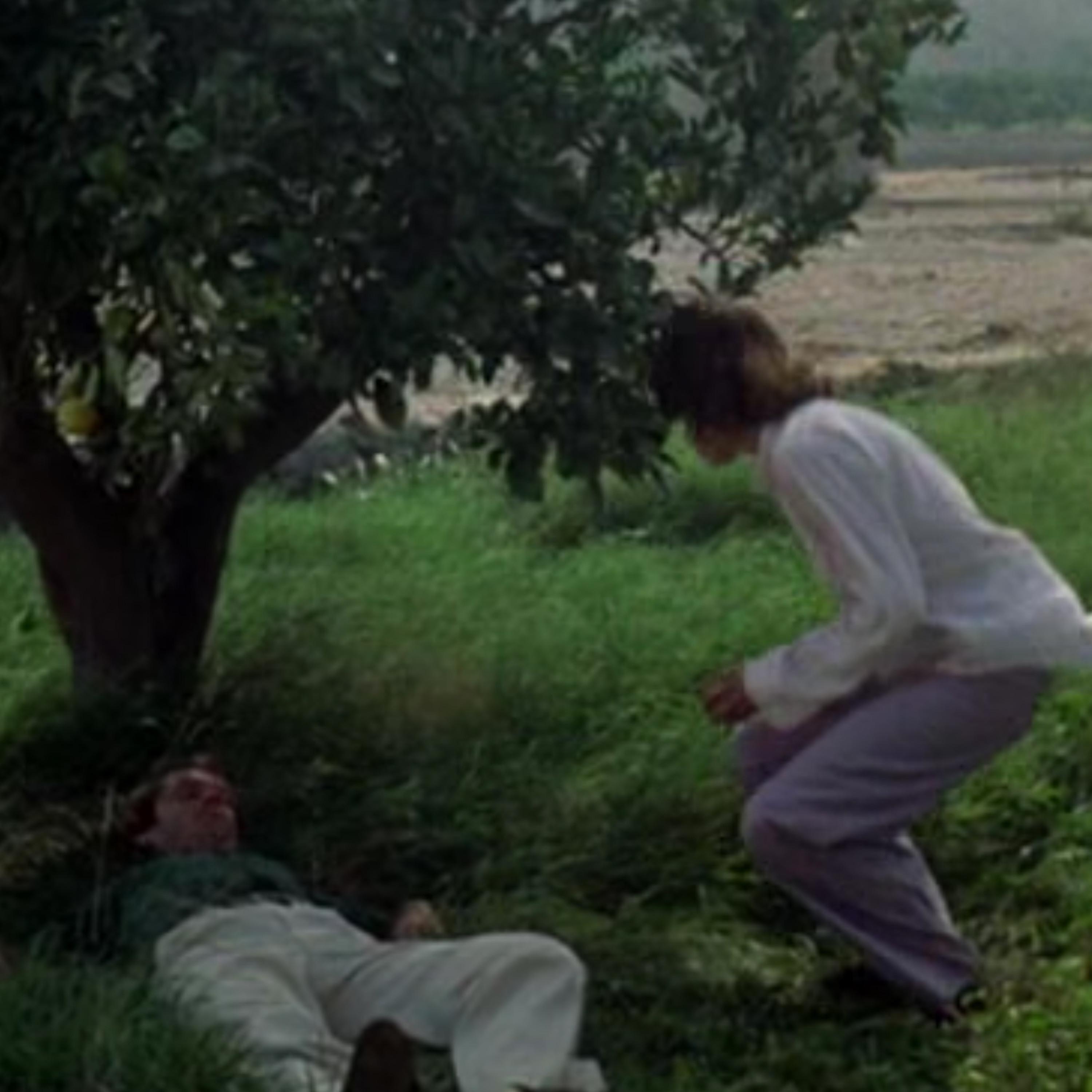 New Dream - Single album cover