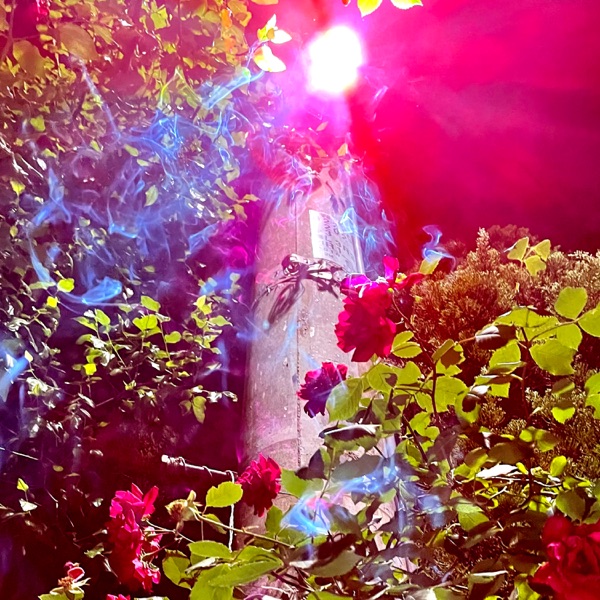 Nan - Single album cover