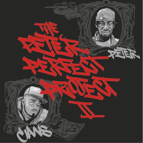 The Peter Perfect Project 2 album cover