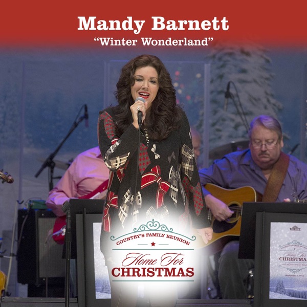 Winter Wonderland - Single album cover