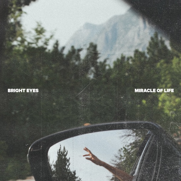 Miracle of Life - Single album cover
