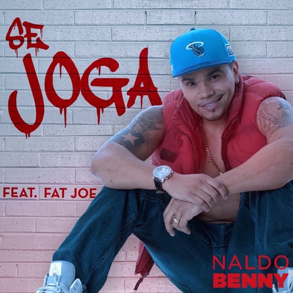 Se Joga (feat. Fat Joe) - Single album cover