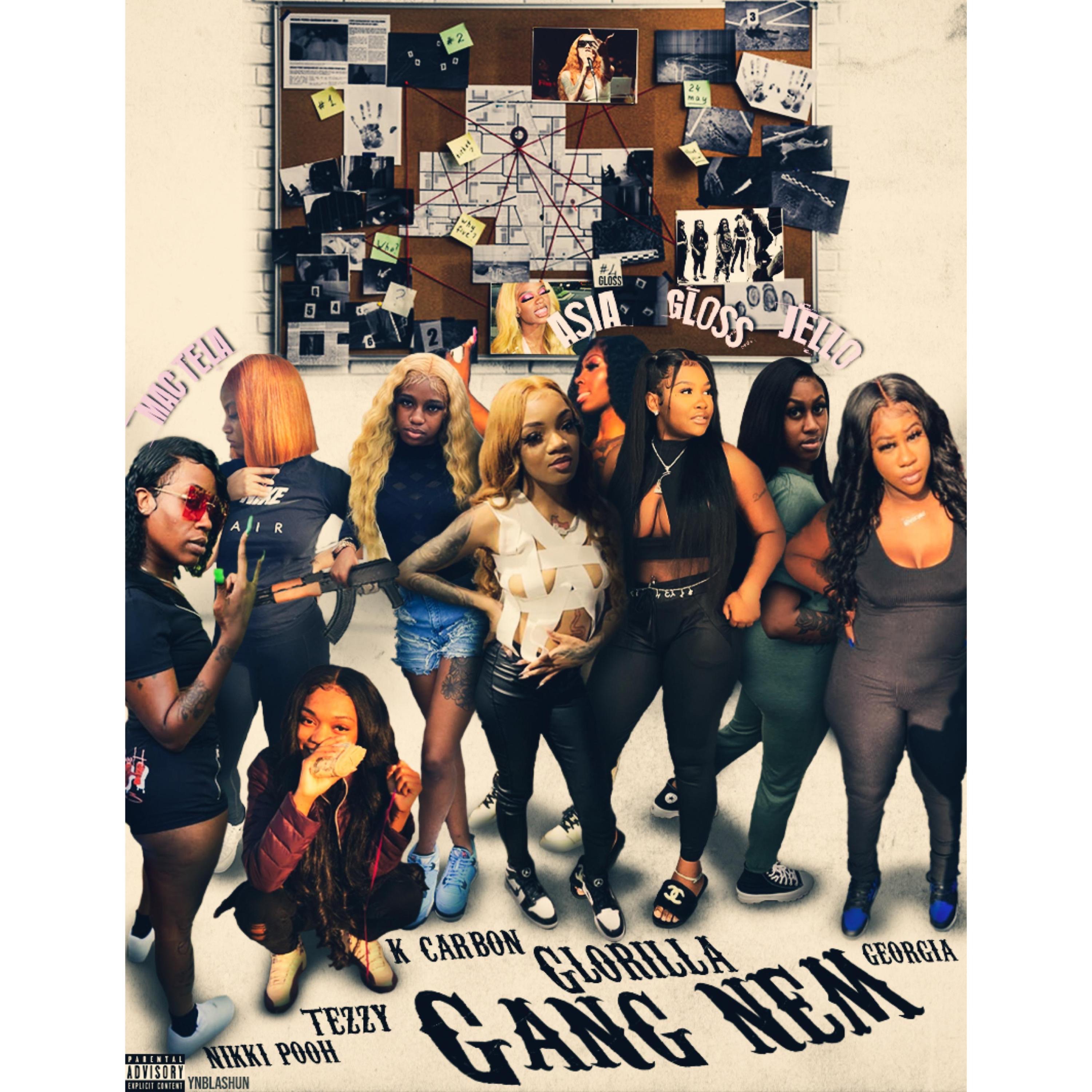Gang Nem - Single album cover