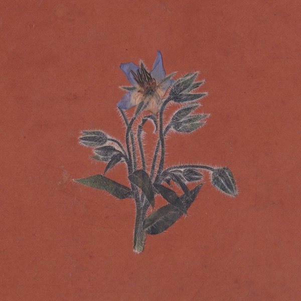 De la friche album cover
