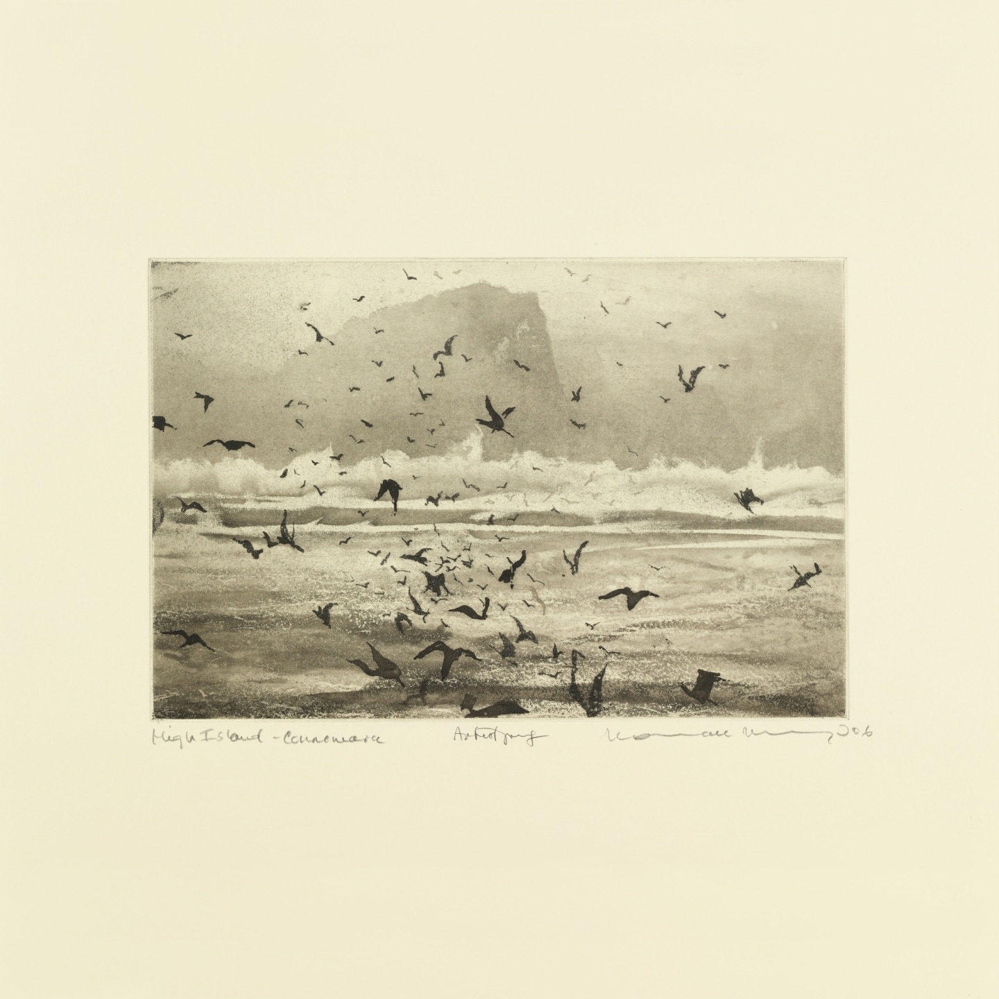 Murmuration album cover