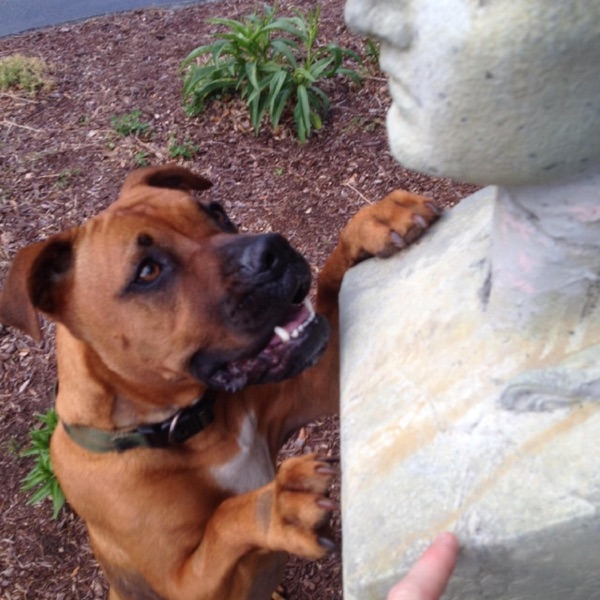 6Speed - EP album cover