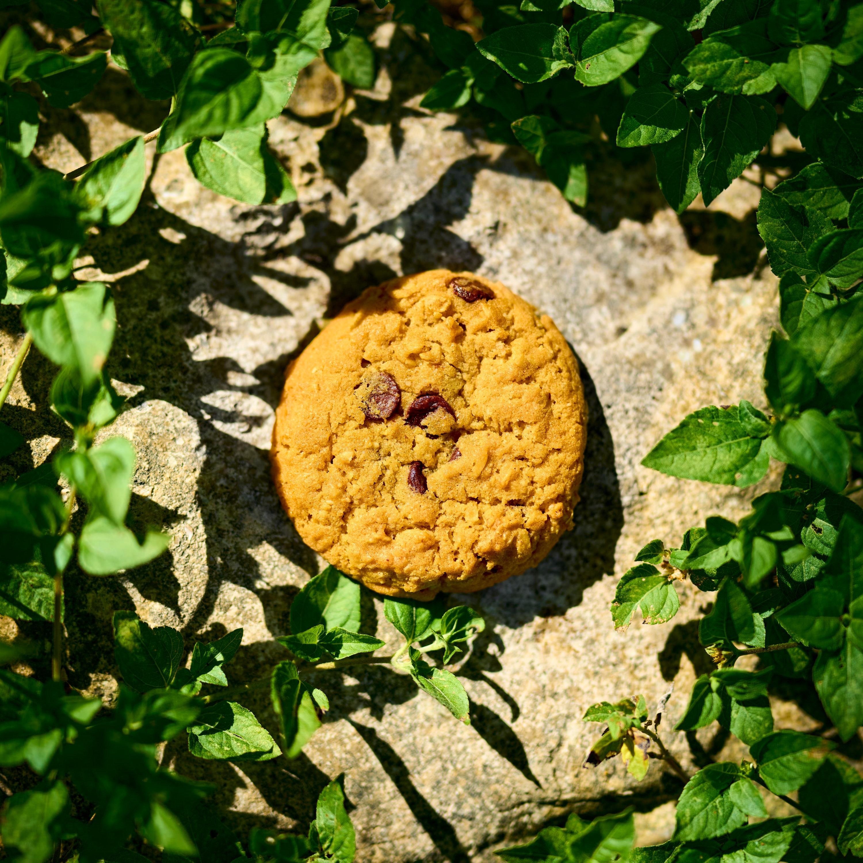 Cookie Clicker - EP album cover