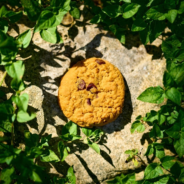 Cookie Clicker - EP album cover